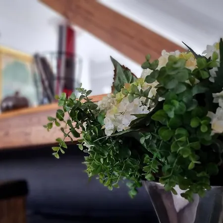 # Exclusives Loft # Parkplatz Auf Grundstueck Mit Wallbox, Klimaanlage, Netflix 公寓 法尔肯塞